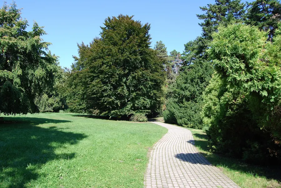 Sétány a Szarvasi Arborétumban